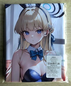 T-AHM000313 飛鳥馬トキ ★抱き枕カバー45*90cm 2way★ タオル ポスター タペストリー メール便可_画像1