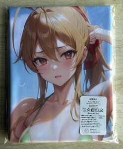 T-AHM000317 宮本麗 ★抱き枕カバー45*90cm 2way★ タオル ポスター タペストリー メール便可_画像1