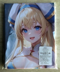 T-AHM000331 女神官 Priestess ★抱き枕カバー45*90cm 2way★ タオル ポスター タペストリー メ_画像1