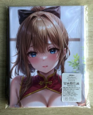 AHM001856 継母の連れ子が元カノだった-南暁月 ★抱き枕カバー45*90cm 2way★ タオル ポスター タペストリ_画像2