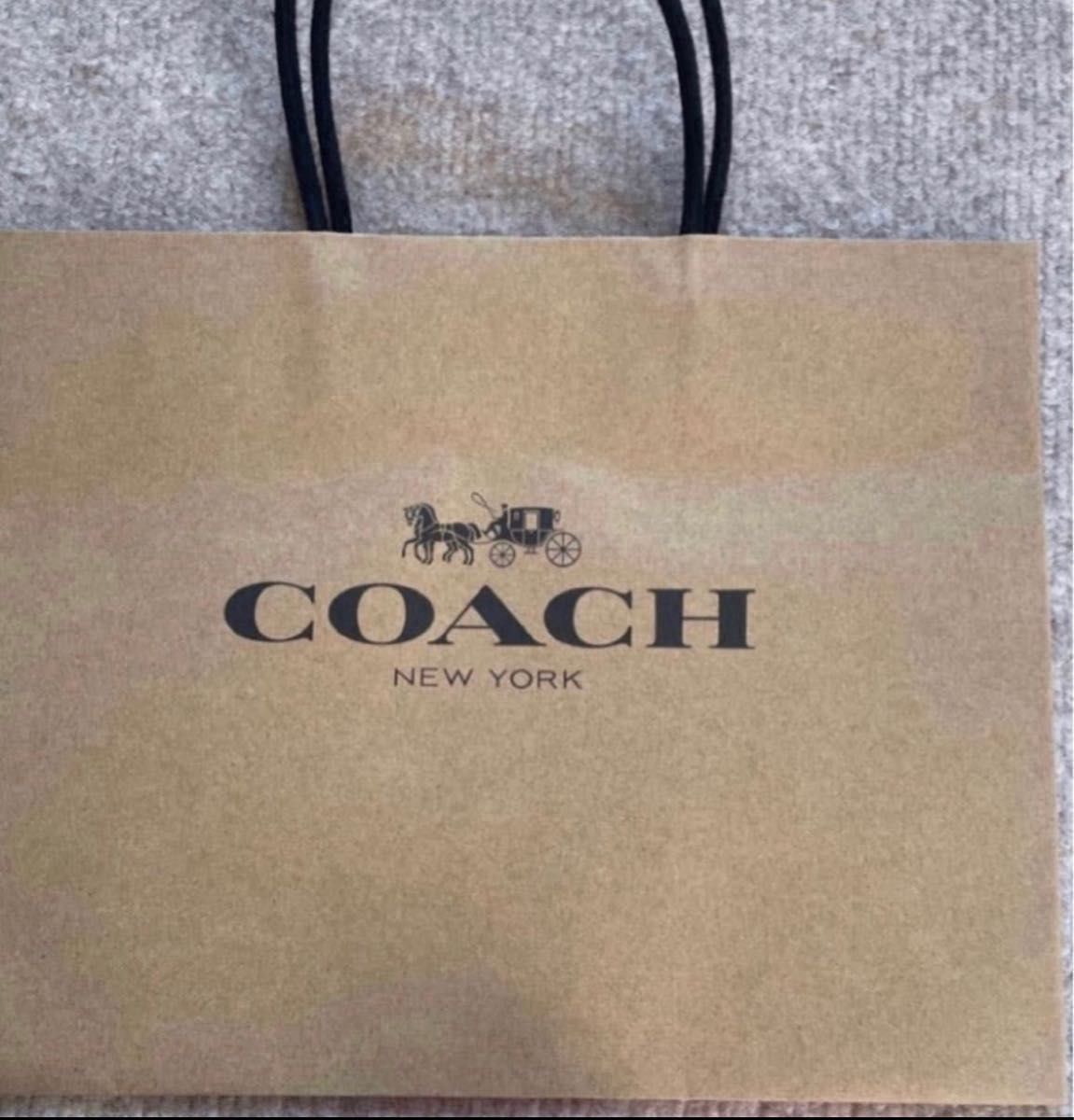 COACH 【新品未使用】コーチ スマホケース 肩掛け カーキ/テラコッタ　エヴァ フォーンクロスボディ 4866