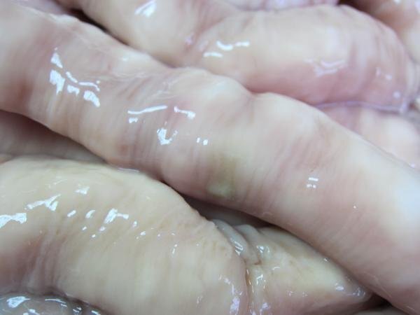 プロ用「牛丸腸1kg」これ食べたらシロコロなぞ食べれませんぞ!!_画像9