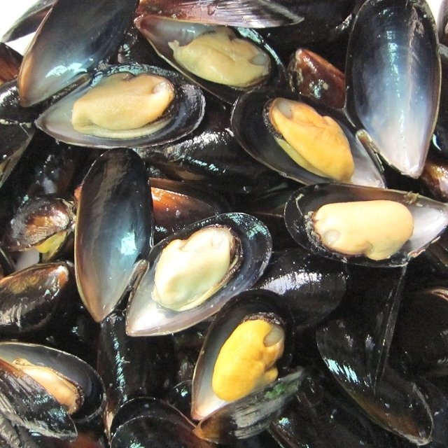3). attaching [ mussel 500g] high class restaurant specification Boyle ending / Chile production 