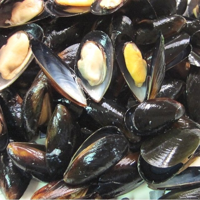 3). attaching [ mussel 500g] high class restaurant specification Boyle ending / Chile production 