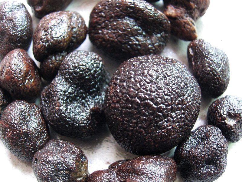  world three large delicacy!![ truffle 100g](2~3cm) extra / high grade rank,chi bed production 