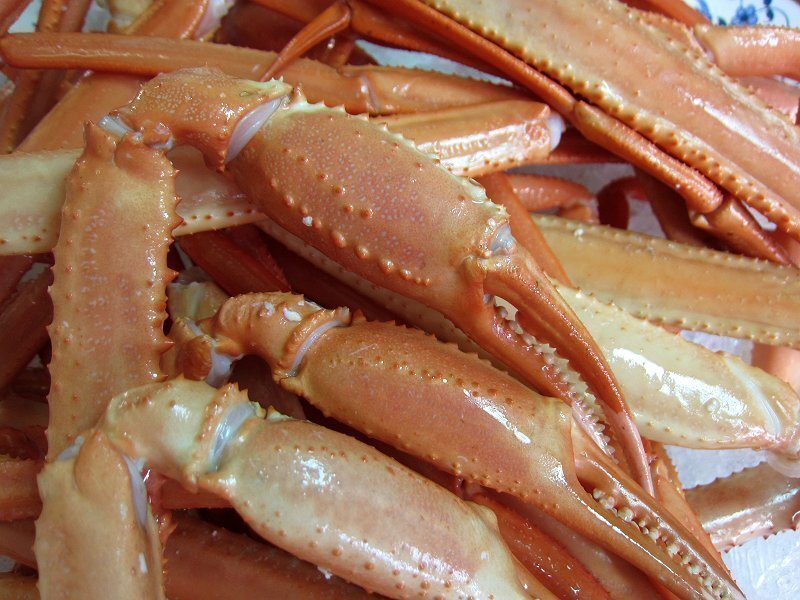 紅ずわい「ボイル済み足3kg」（殻付き足）蟹の本場、境港産_画像6