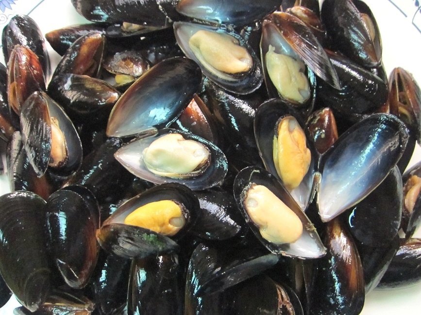 3). attaching [ mussel 500g] high class restaurant specification Boyle ending / Chile production 