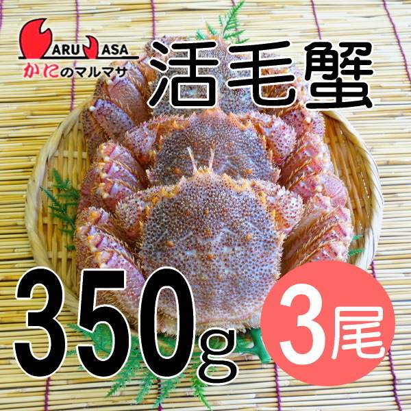 【かにのマルマサ】活蟹専門店 北海道産 活毛ガニ350g 3尾セットの画像1