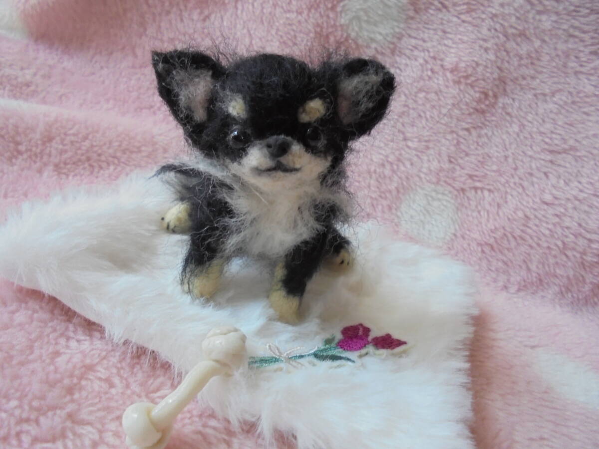 * hand made wool felt * * chihuahua black tongue . dog Chan * (. hand is possible .!)