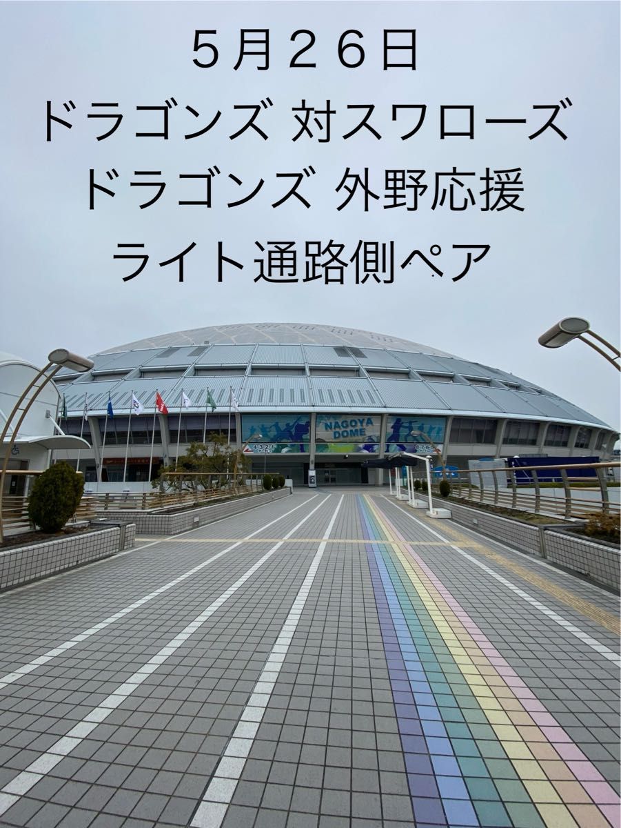 ５月２６日(日)  中日ドラゴンズ 対東京ヤクルトスワローズ　ライト側ドラゴンズ 外野応援席　通路側ペア　マスコットデー