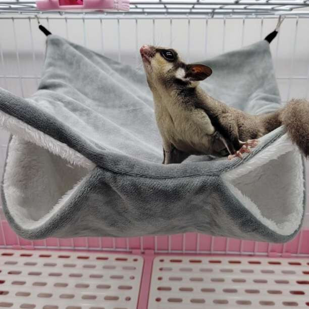  house hamster silver hammock ma Momo nga swing cage teg-
