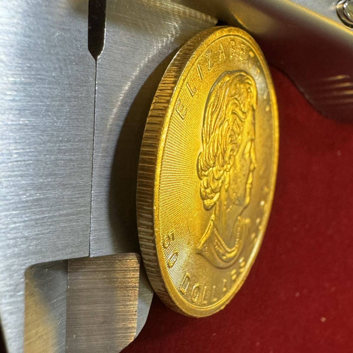 カナダ 英連邦 2021年 硬貨 古銭 エリザベス2世 メープル サトウカエデ 国章 記念幣 コイン 外国古銭 海外硬貨 _画像3