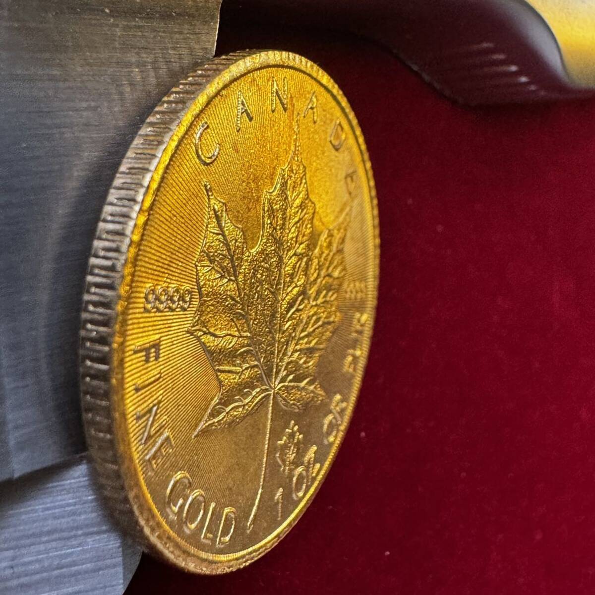 カナダ 硬貨 古銭 英連邦 2020年 エリザベス2世 メープル サトウカエデ 国章 記念幣 コイン の画像3
