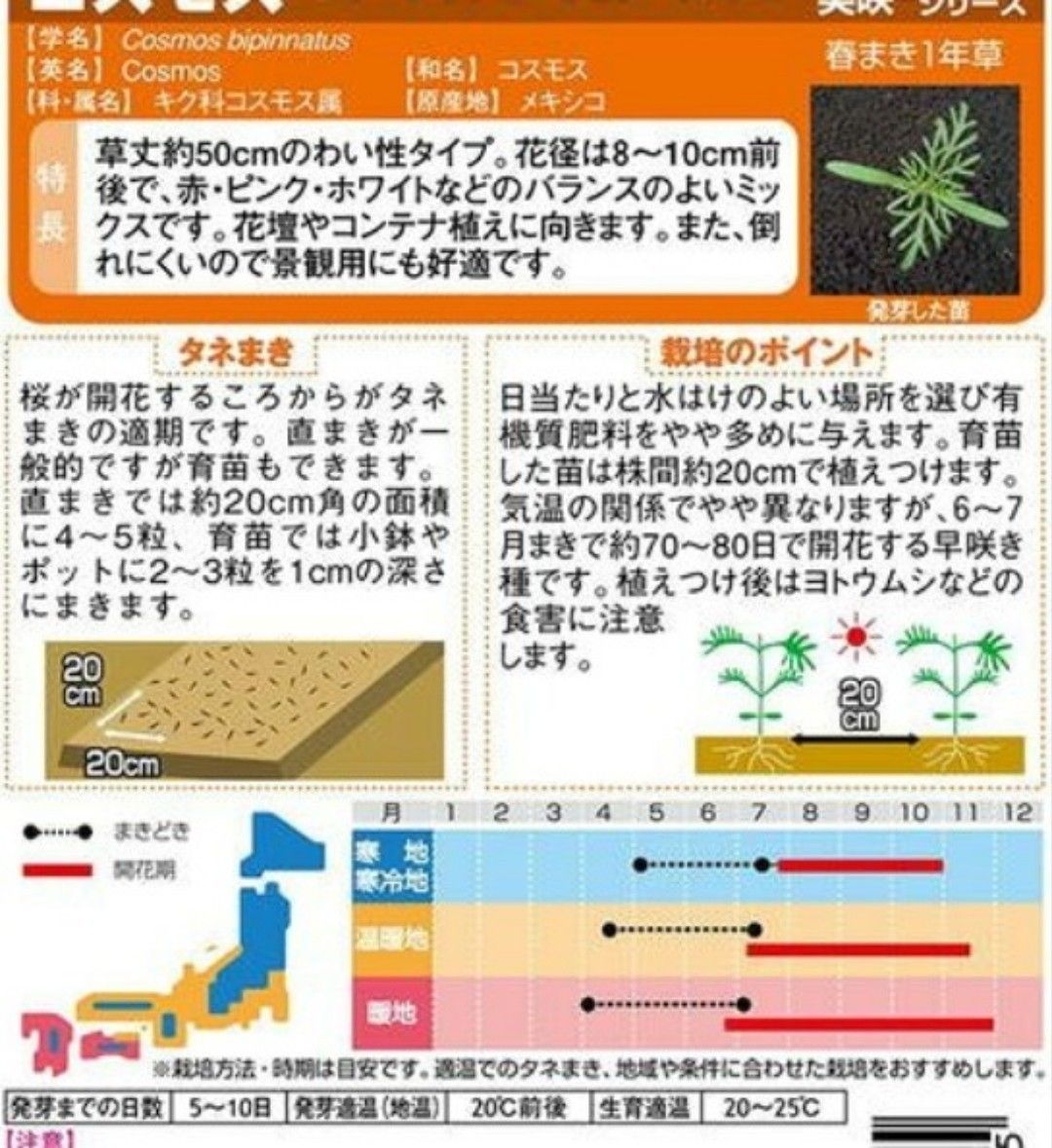 花の種 背丈の低いミニコスモス mix色 50粒 わい性