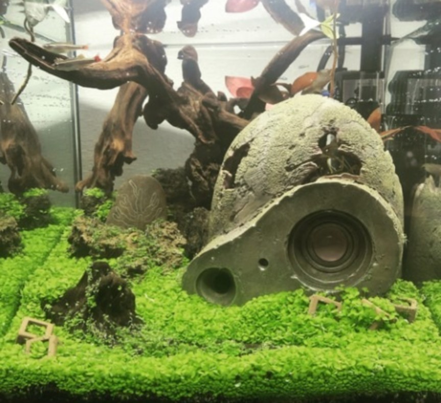  Studio Ghibli heaven empty. castle Laputa robot . planter robot . gardening tropical fish aquarium Miyazaki . Nausicaa 