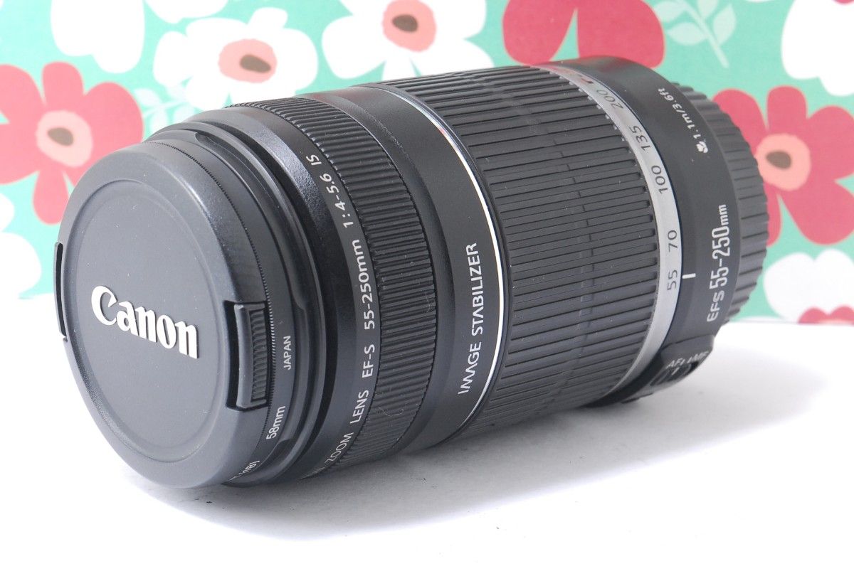 ★Canon EF-S 55-250mm F4-5.6 IS★手振れ補正★望遠★