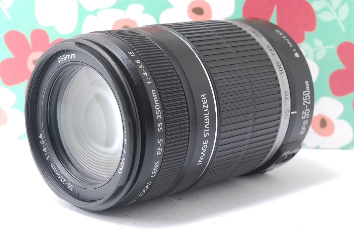 ★Canon EF-S 55-250mm F4-5.6 IS★手振れ補正★望遠★