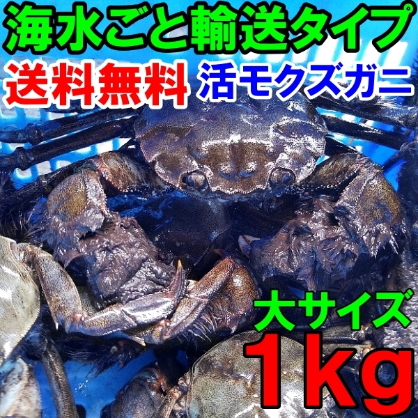 .mokzgani large size 1kg( standard 5-7 cup )tsugani... delivery region limited goods ( Shikoku China Kyushu Okinawa is un- possibility ) besides small middle size . exhibiting .....