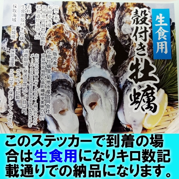 【身入り、味が一番良い本当の旬到来中】生食用 殻付き 牡蠣 ４ｋｇ（28~70粒）牡蠣 殻付き 牡蛎 カキ 牡蛎 牡蠣殻付き 殻付き牡蠣 _画像5