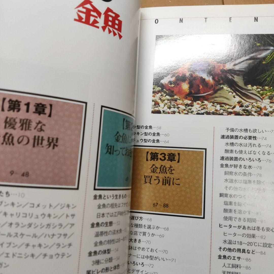 金魚の飼い方・育て方　金魚のいる楽しい暮らし　種類・選び方飼育のすべてがわかる 勝田正志／監修　大森光子／監修_画像3