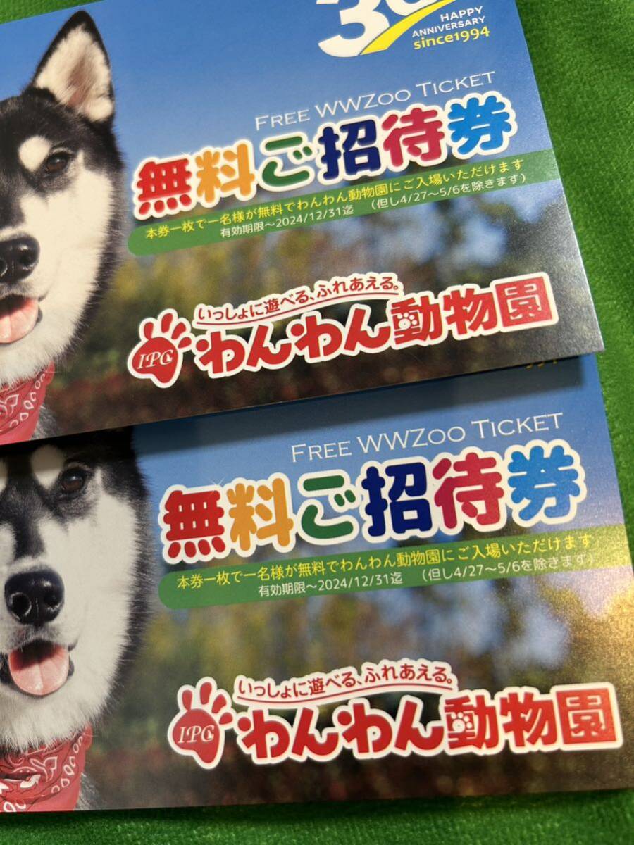 半額以下【愛知県岡崎市 わんわん動物園】無料ご招待券　2枚セット_画像3