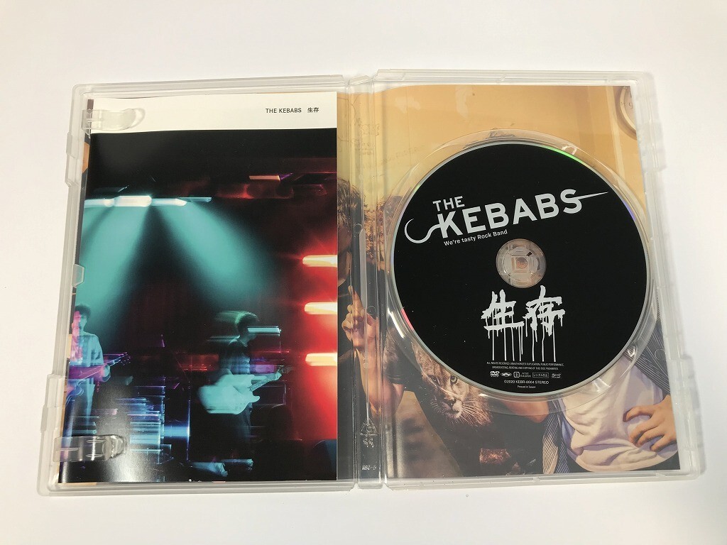 TI892 THE KEBABS / 生存 【DVD】 0506_画像5