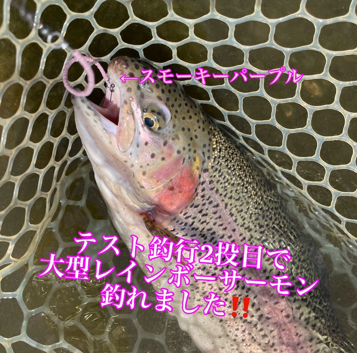 【海鱒最強セット】管釣り　エリアトラウト 【形状記憶】海鱒スパイラルPro 4本セット　左右巻き_画像2