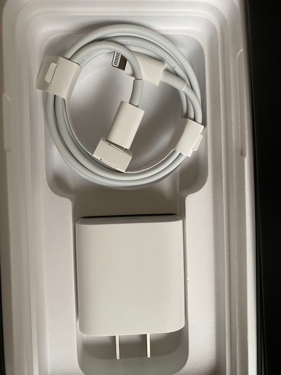 Apple純正品 A2305 電源アダプター ケーブル USB-C iphone ipad 充電器 20W セット 