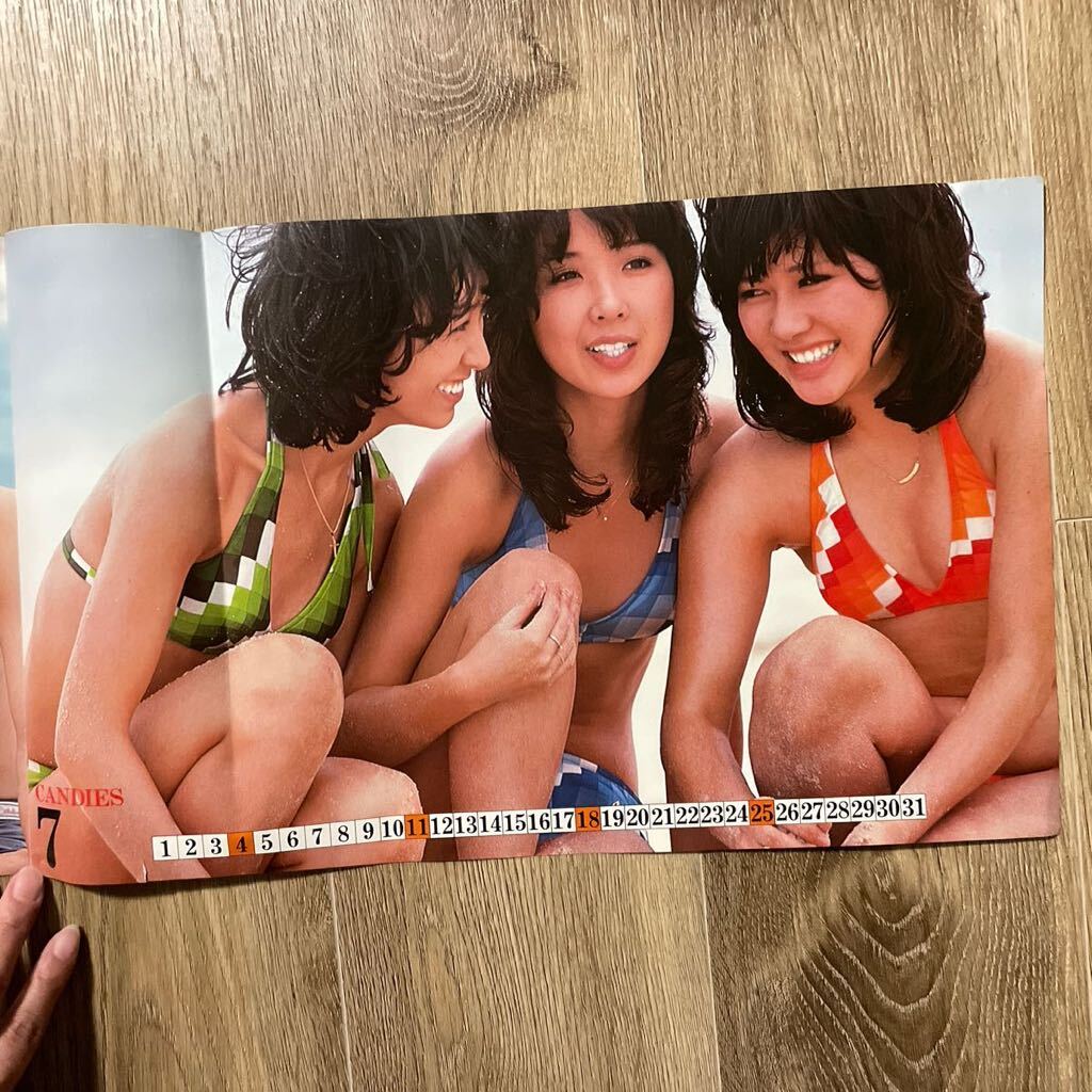 昭和レトロ 当時物 昭和アイドル Candies 付録 野口五郎 山口百恵 ズートルビ 希少 カレンダー_画像4