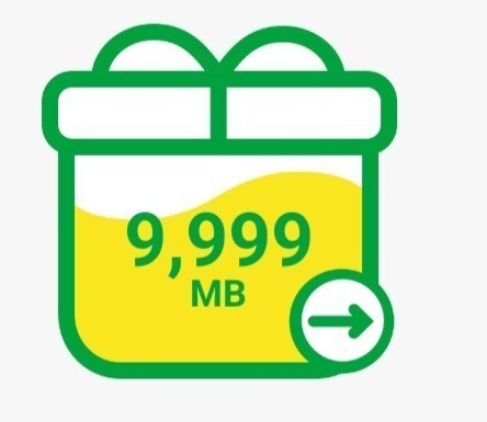 マイネオ パケットギフト mineo 10GB(9999MB)の画像1