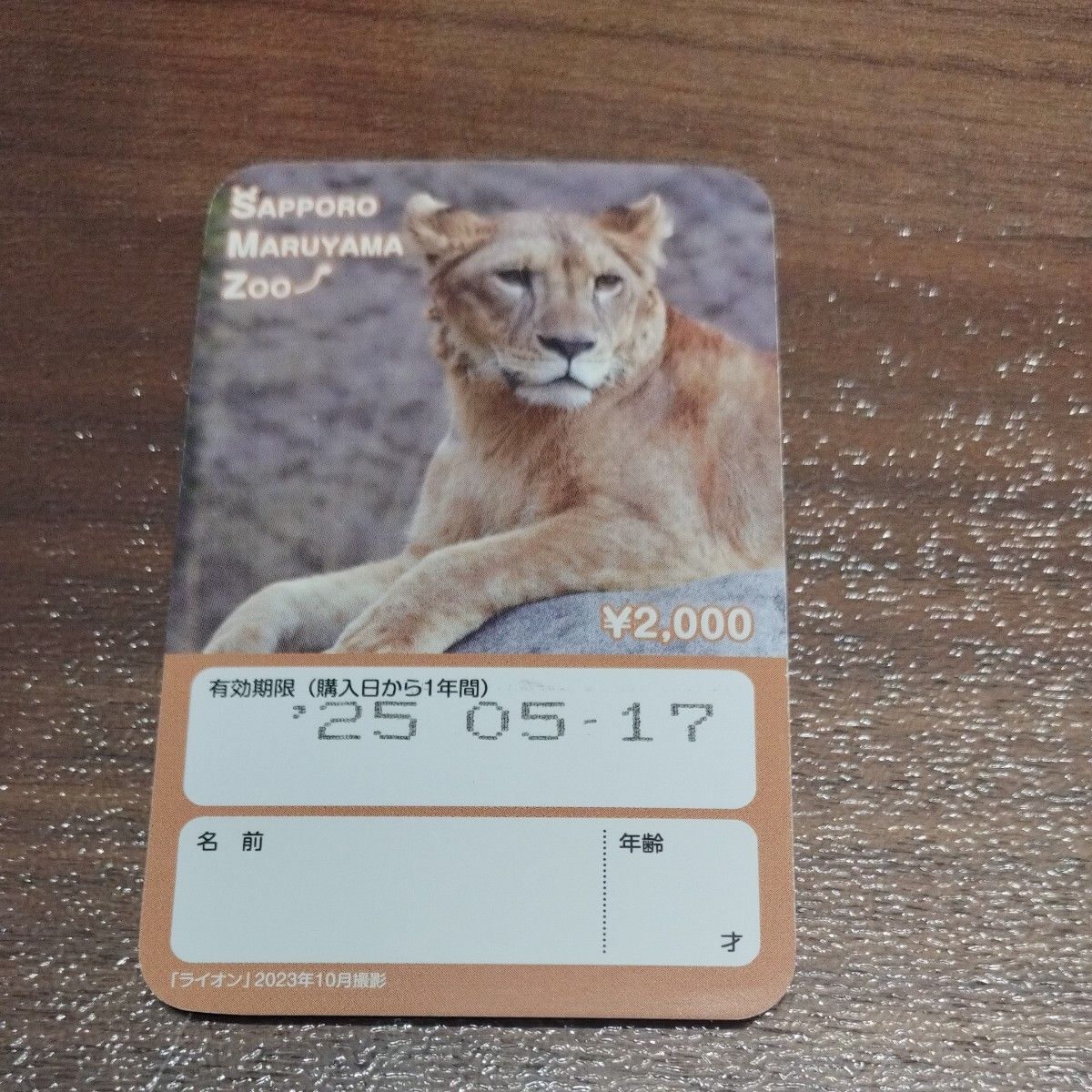 円山動物園　年間パスポート