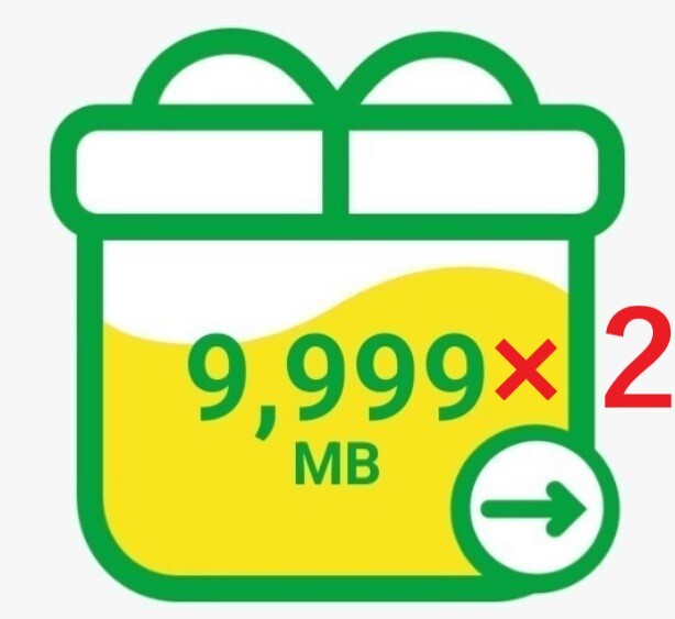 mineoパケットギフト 約 20GB（9999MB×２）ギフトコードの画像1