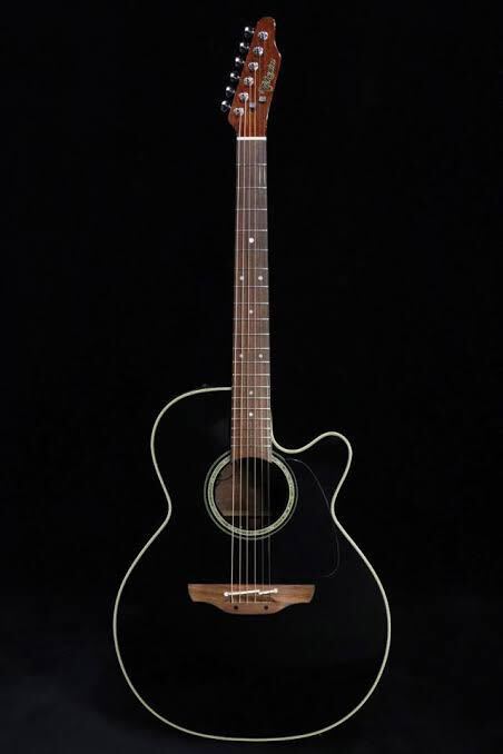 Takamine TDP515-6 BL Takamine длина .300шт.@ ограниченная модель кейс нет акустическая гитара akogi поиск Yamaha Gibson