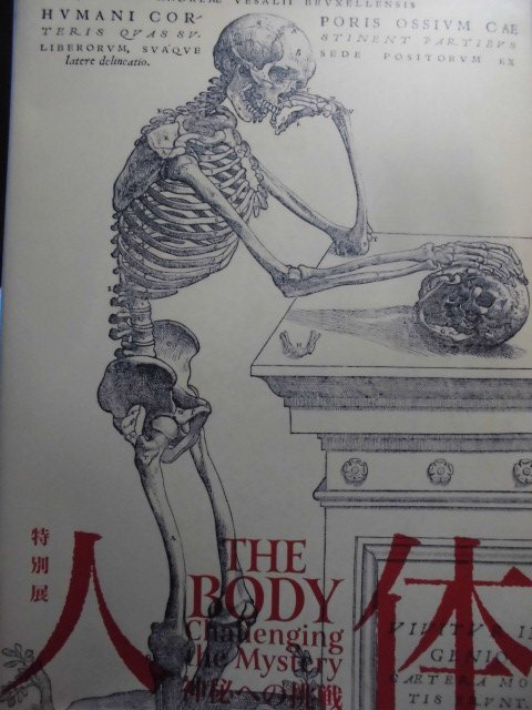 「特別展　人体　神秘への挑戦　THE BODY Challenging the Mystery」2018年　国立科学博物館　NHK,NHKプロポーション、朝日新聞社_画像1