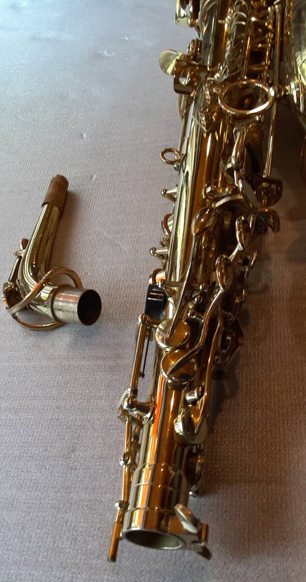 * partition n Ricci * alto saxophone * woodwind instrument * Gold color * mouthpiece less *Heinrich
