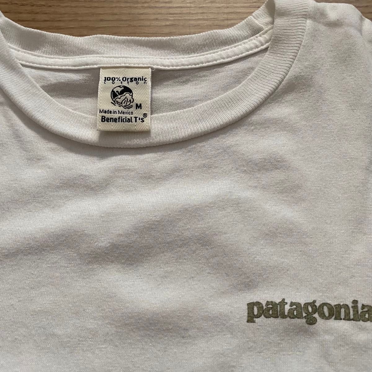patagonia パタゴニア　オーガニックコットンtシャツ　M【送料込】