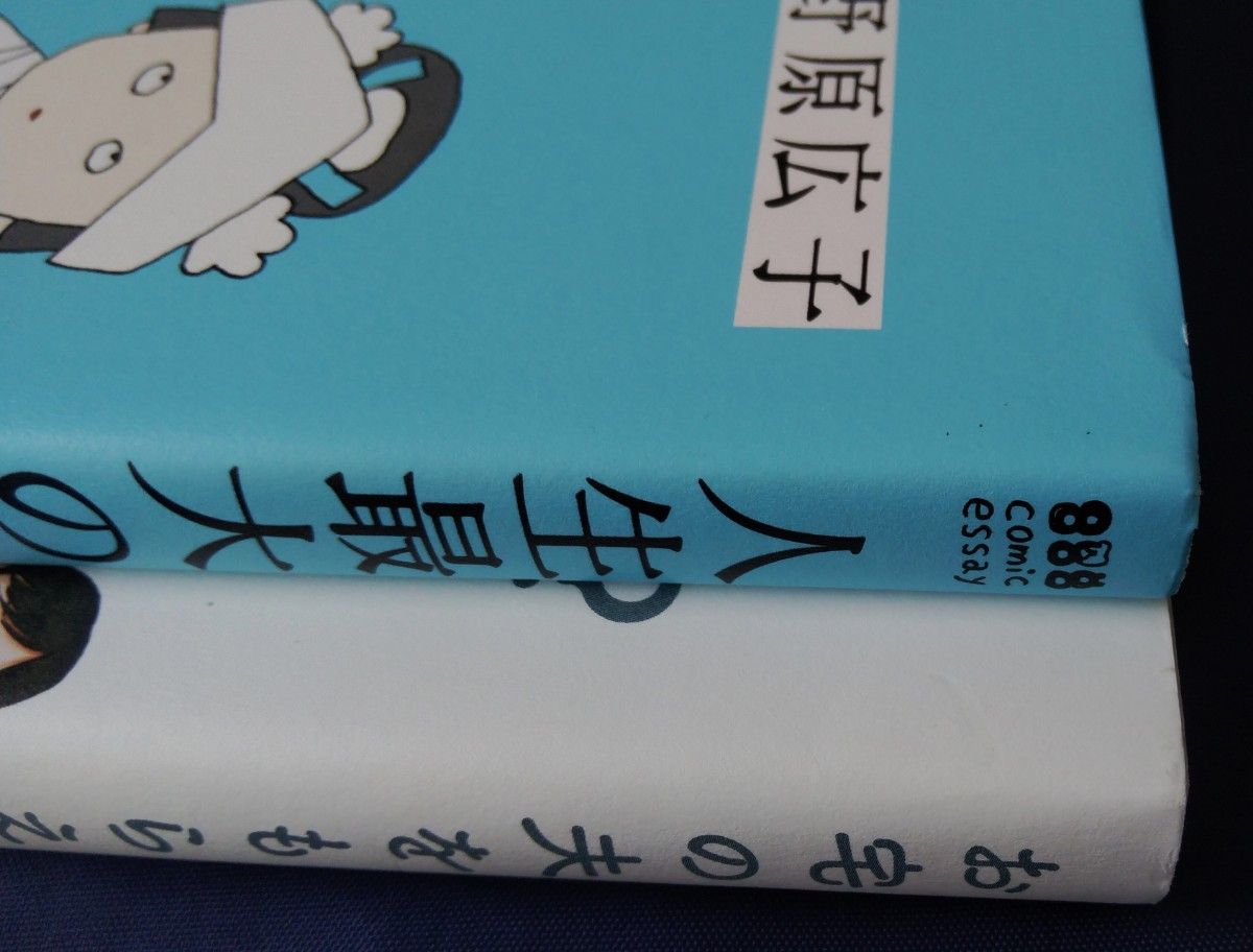 2冊セット『人生最大の失敗／野原広子』＆『お宅の夫をもらえませんか？ みこまる／作画　いくたはな』コミックエッセイ