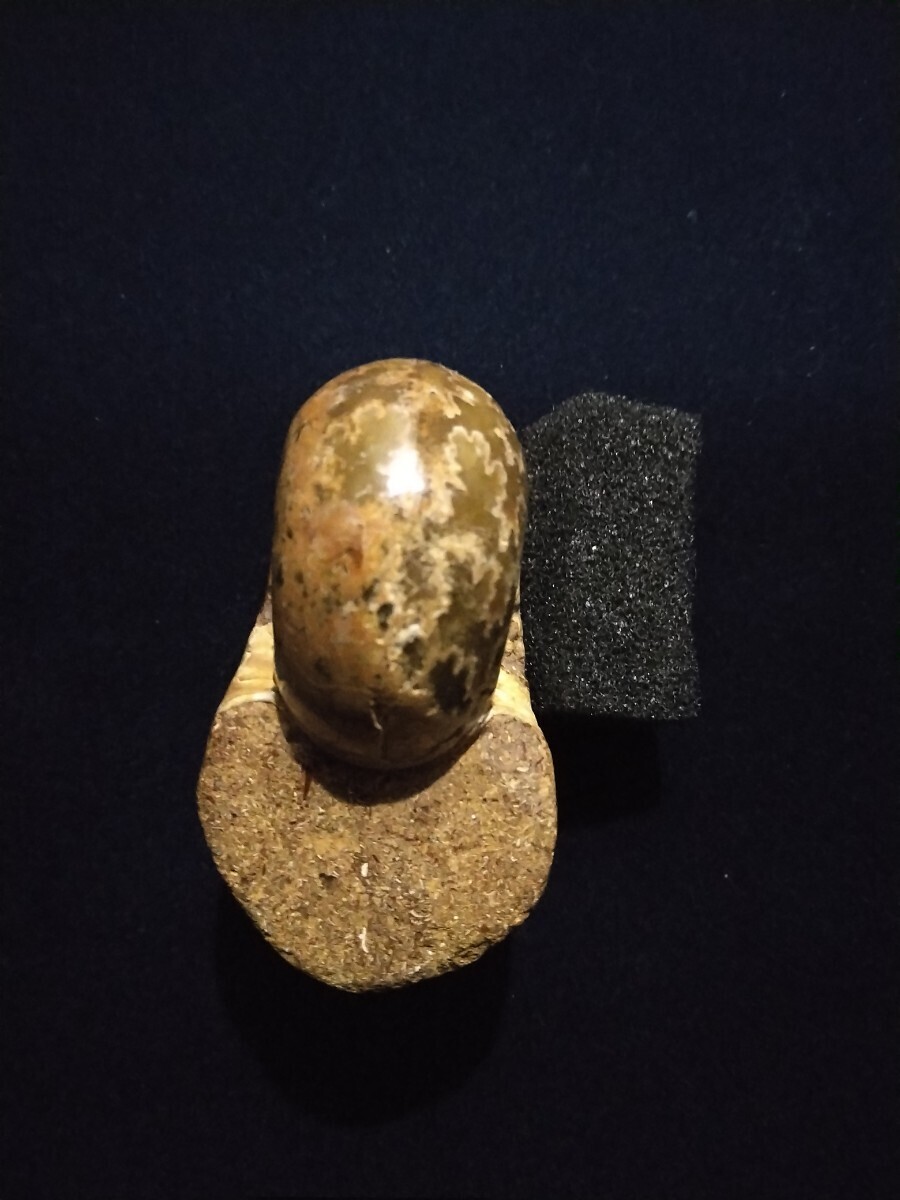 アンモナイト化石マダガスカル産 J7 鉱物標本 _画像3