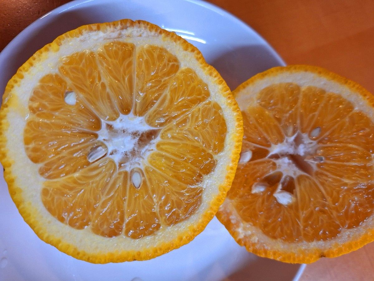 熊本県産　紅甘夏　箱込5キロ