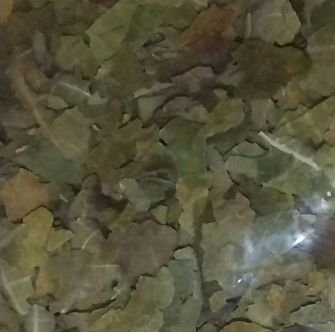いちぢくの葉 乾燥[蓬莱柿] 200g  岡山県産  無花果   イチヂク 薬草  フルーティー  健康茶