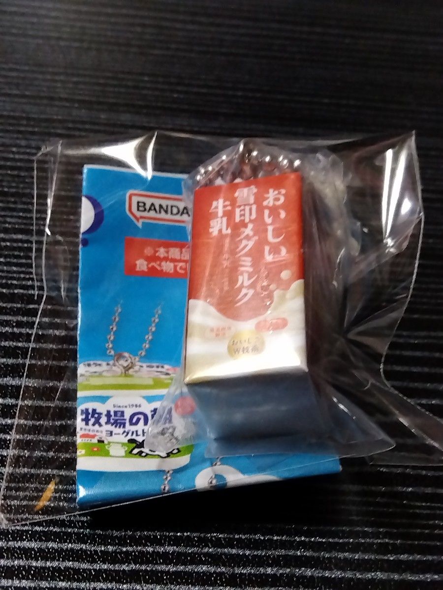 雪印メグミルク／ミニチュアチャーム～乳飲料&ヨーグルトシリーズ～
