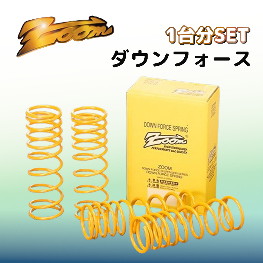 ZOOM ズーム ダウンフォース 1台分 アスコット CE5 H5/10~H9/05 ZHO020006SDF
