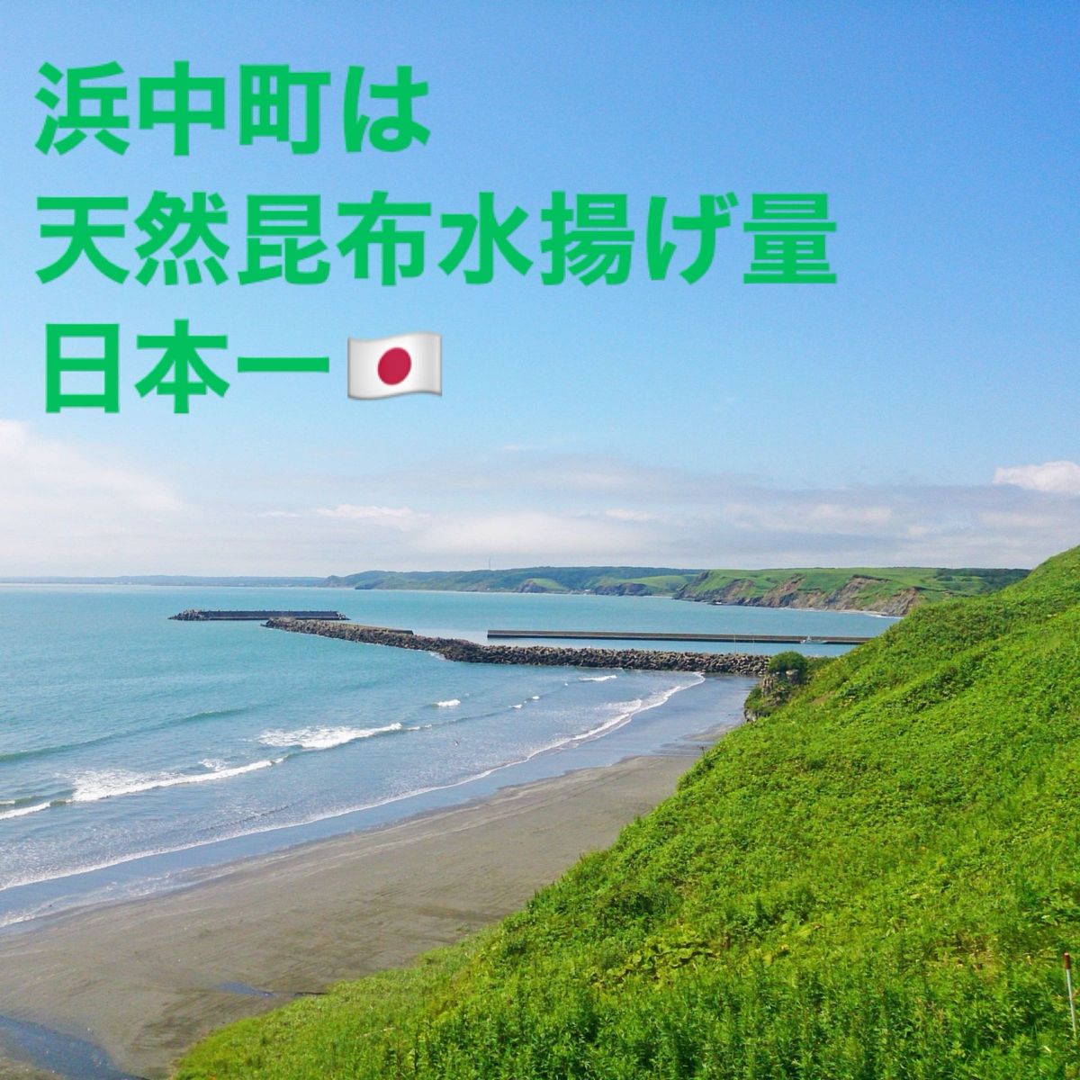 【お試し価格】北海道産天然昆布ねこあし根昆布（80ｇ×1袋）昆布水用、昆布出汁用　ネバネバ　希少部位　健康食品