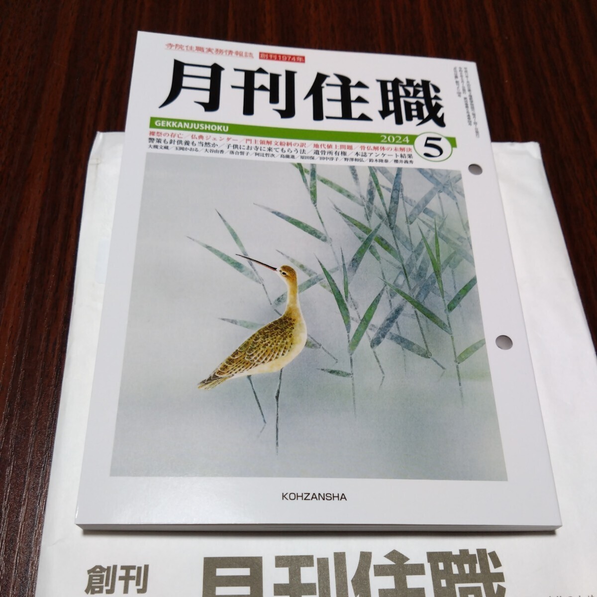 美品「月刊住職 」2024 5月号 情報誌 ◆仏教 住職 ◆ 娯楽 雑誌　僧侶　◆浄土真宗　「領解文問題」法衣　興山舎　_画像1