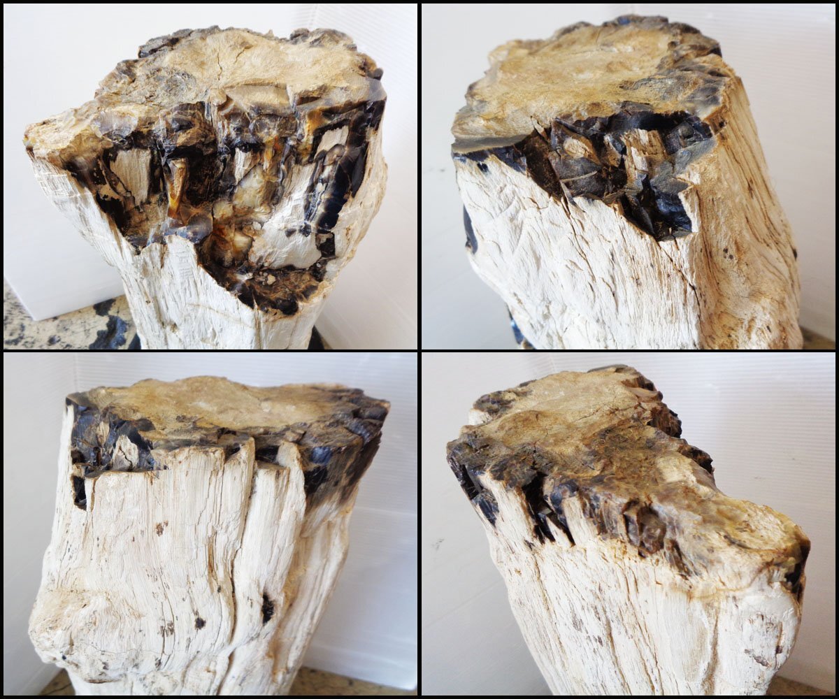 Bana8◆珪化木 化石木 木化石 化石 コレクション インテリアの画像7