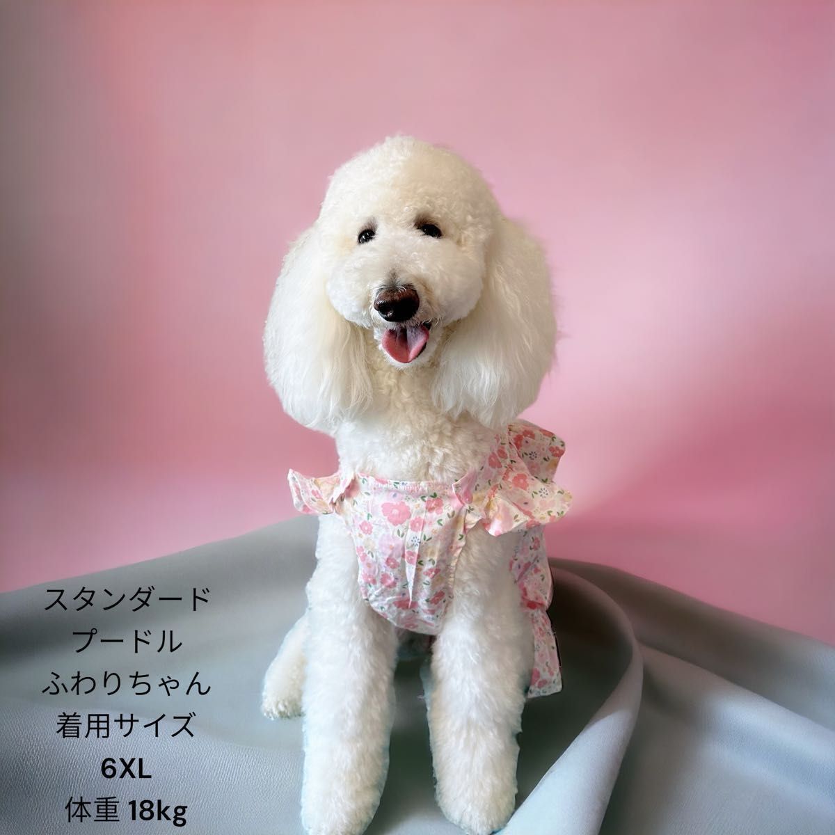 期間限定送料無料/大型犬/超大型犬/春夏新作/ピンク花柄ワンピース/犬服/ドッグウェア/3XL