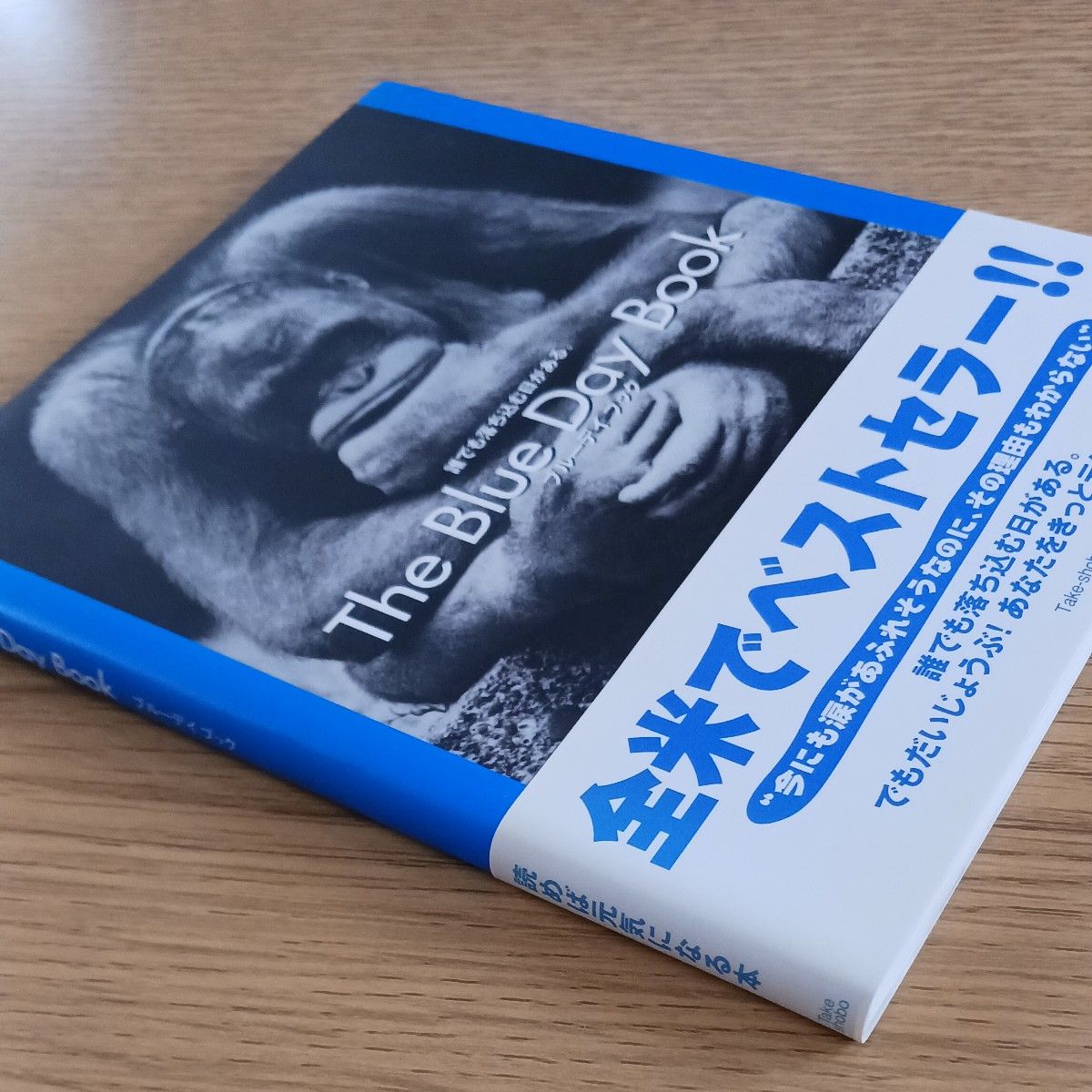 ブルーデイブック ブラッドリー・トレバー・グリーヴ／著　石田享／訳