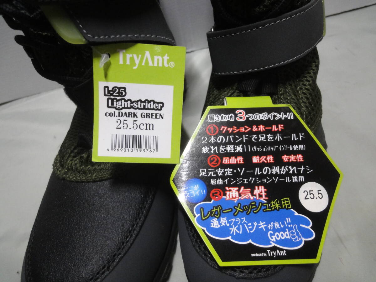 【安全靴 Try Ant L-25 Light-strider Col. DARK GREEN サイズ表記 25.5】未使用品_画像2