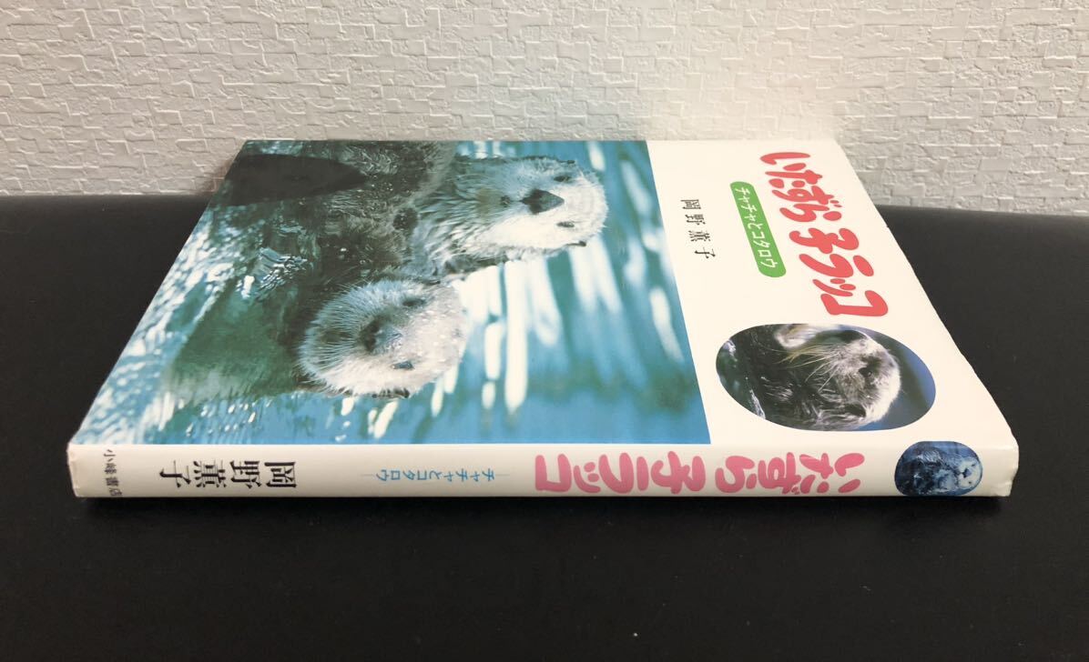 ◇絶版・希少本◇「いたずら子ラッコ チャチャとコタロウ」岡野 ◇絶版・希少本◇「いたずら子ラッコ チャチャとコタロウ」岡野