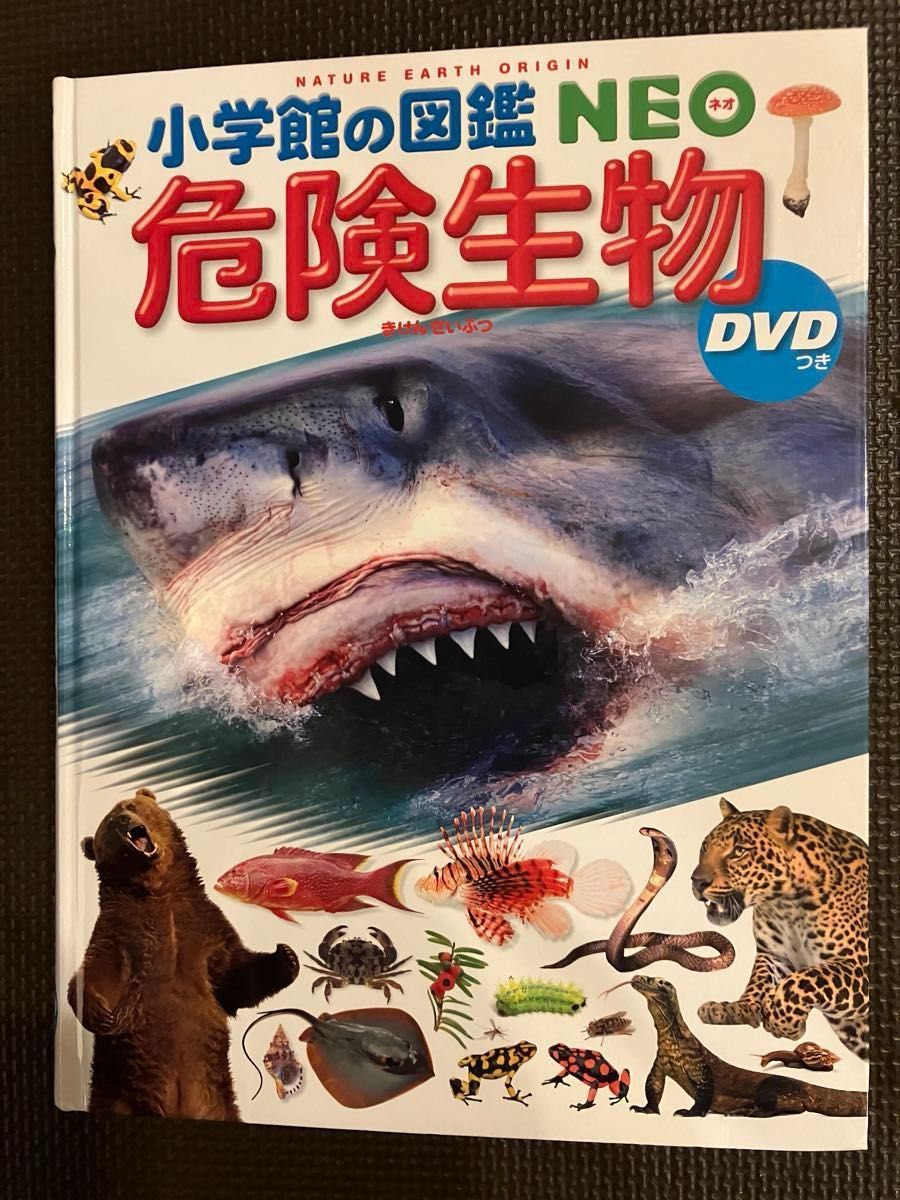 美品　小学館の図鑑NEO  危険生物  DVD付　